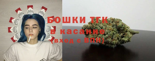 тгк Горнозаводск