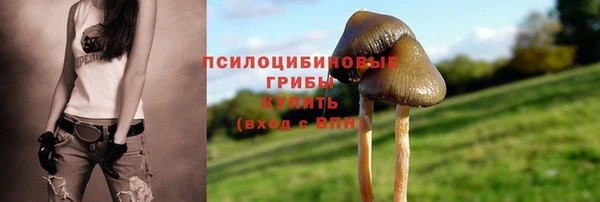 синтетический гашиш Гусев