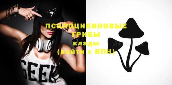COCAINE Горно-Алтайск