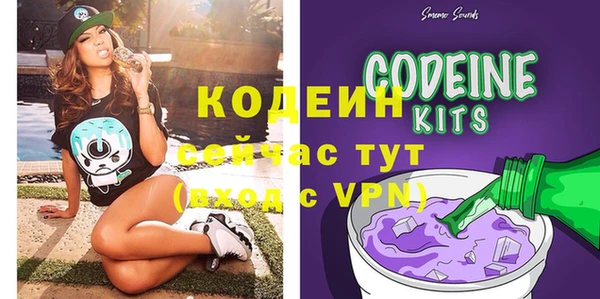 дмт Горняк