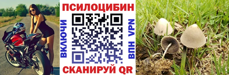 Псилоцибиновые грибы Magic Shrooms  Долгопрудный 