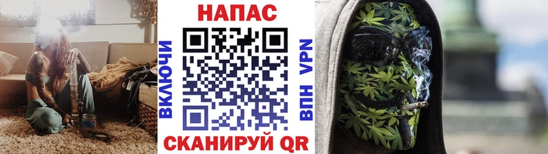 mega ССЫЛКА  купить   Долгопрудный  Каннабис сатива 
